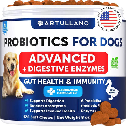 Probiotics for Dogs Support Gut Health Itchy Skin Allergies Immunity Yeast