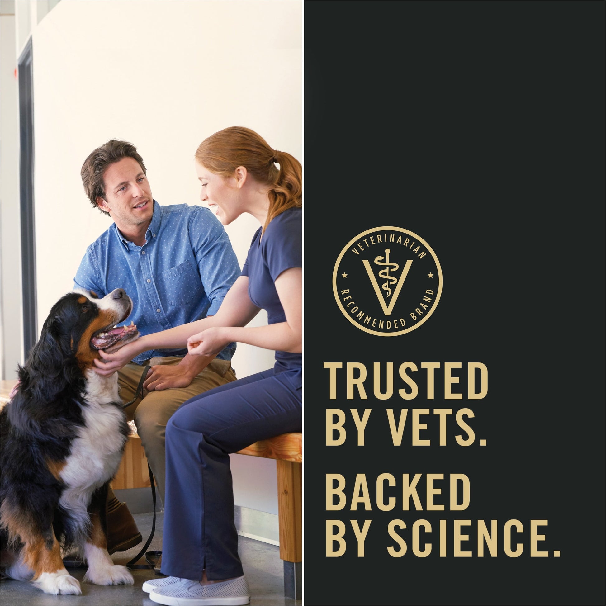 Complete Essentials Shredded Blend Chicken and Rice Dry Dog Food Formula with Probiotics for Dogs, 15 Lb Bag