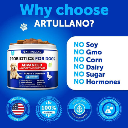 Probiotics for Dogs Support Gut Health Itchy Skin Allergies Immunity Yeast