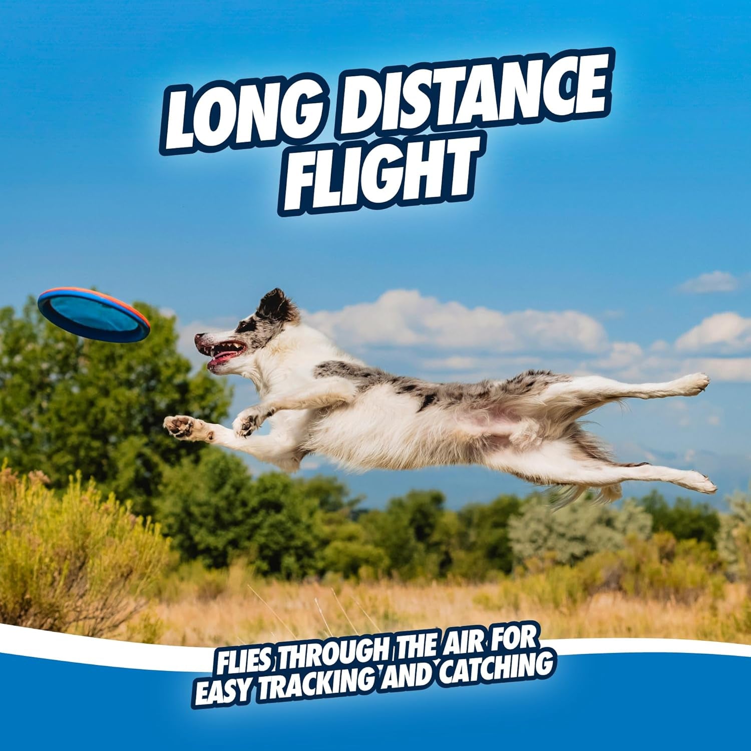 Chuckit! Paraflight Flying Disc Dog Toy - Water Floating Flyer - Durable Nylon Construction with Soft Rubber Edges 