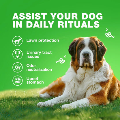 Grass Spot Chews for Dogs Probiotic Multivitamins Enzymes Vitality & UTI & Digective Support Urine Neutralizer for Lawn