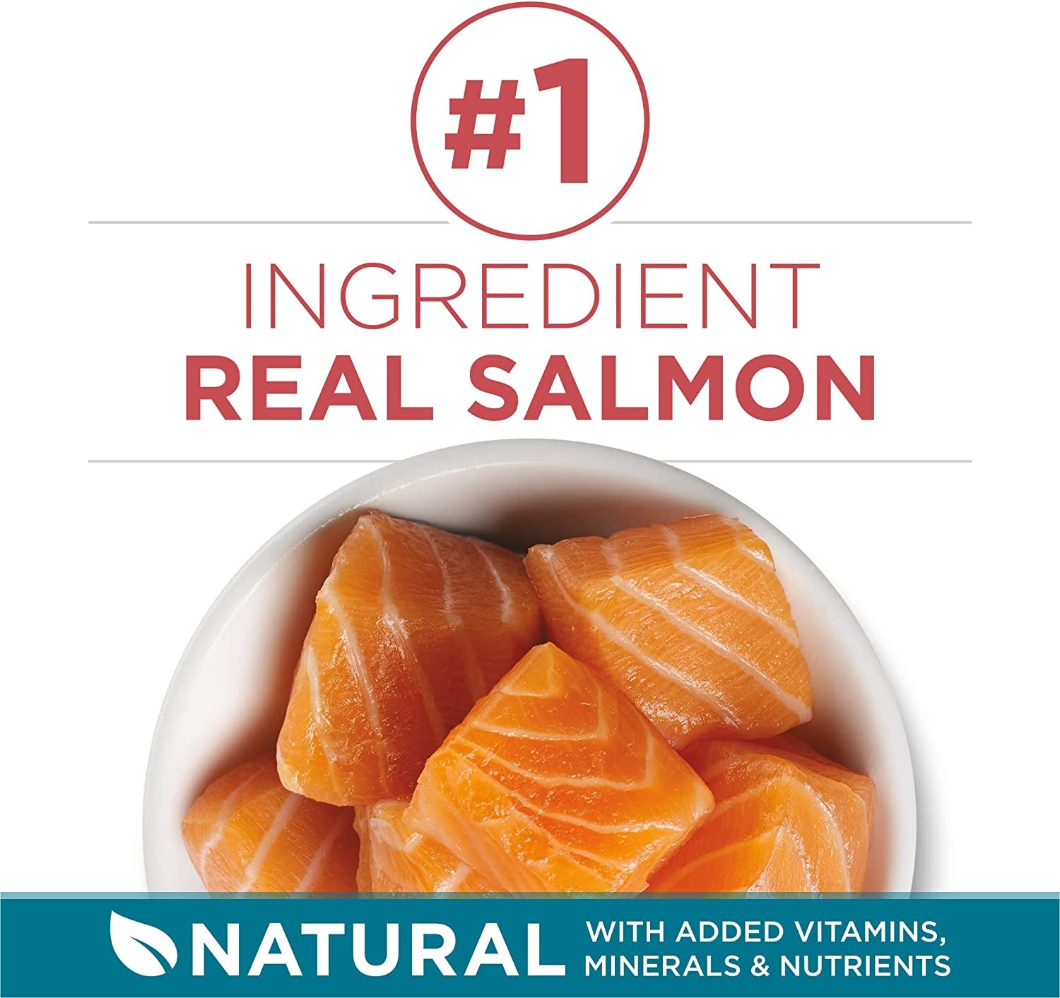 Purina ONE Natural Dry Cat Food, Tender Selects Blend with Real Salmon 