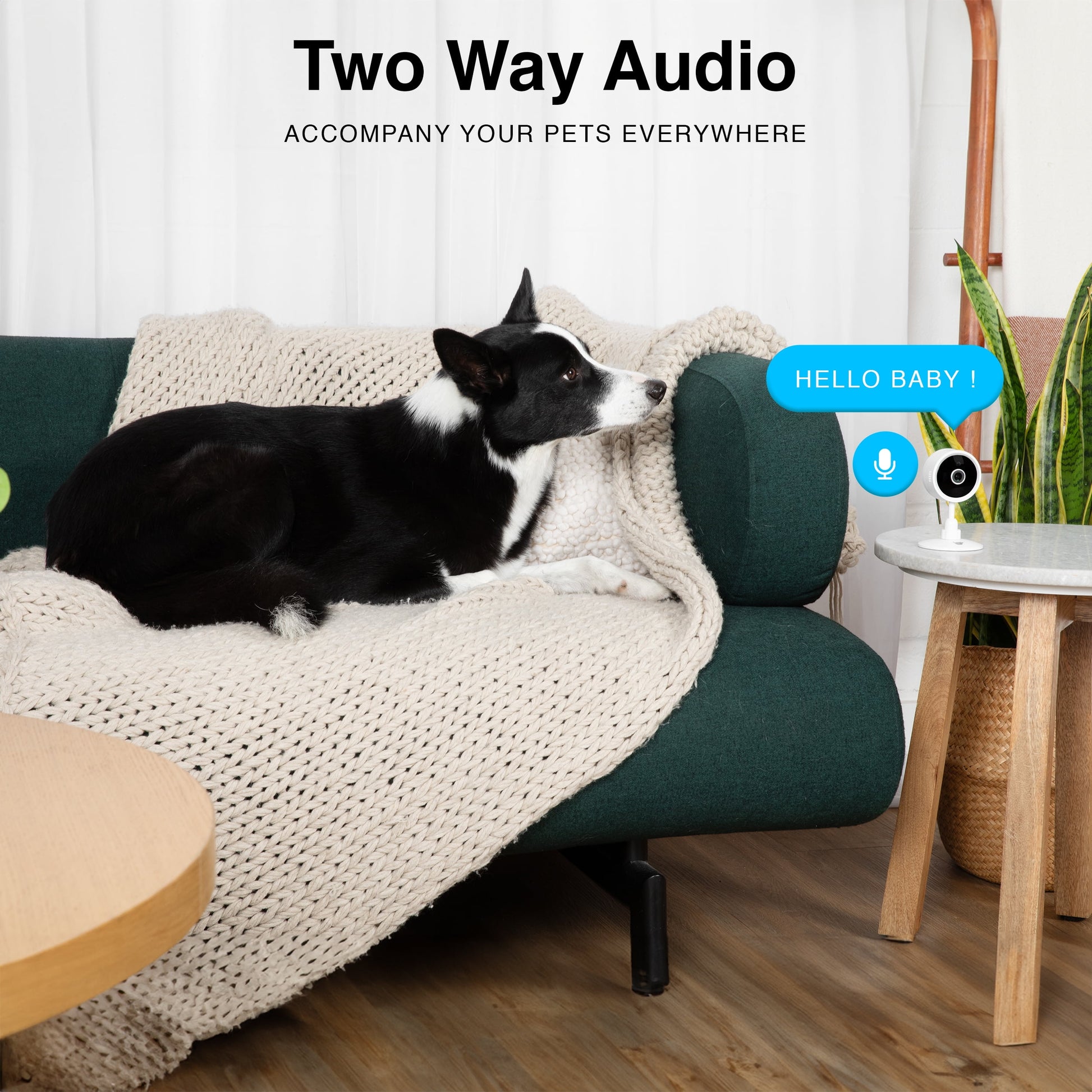 Purrsight Mini HD Wi-Fi Pet Camera, Indoor Security Camera for Cats and Dogs