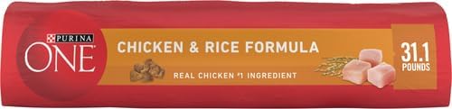 Purina ONE Chicken and Rice Formula Dry Dog Food - 31.1 Lb. Bag