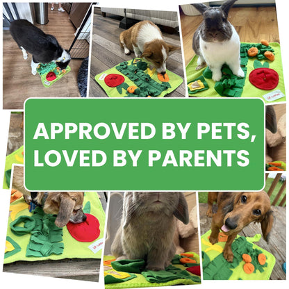 Snuffle Mat for Small Dogs & Cats 