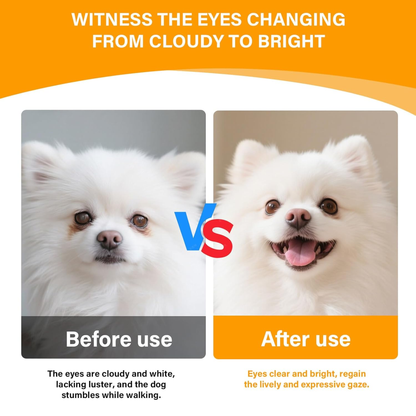 Eye Supplements for Dogs - Vision Support Soft Chews with Lutein, DHA & Vitamin C | 120Ct Salmon Flavor Tear Stain Chews | Cataract & Dry Eye Relief Supplement (120 Ct, Salmon)