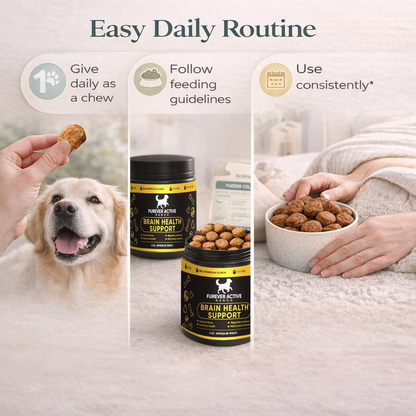 Furever Active Pet Neuro Chewing, Formulated with Carrots, Beets, Apples, Celery, Lemon | Supports Brain & Cognitive Health | Soft Chews for Adult & Senior Dogs, 60 Chews