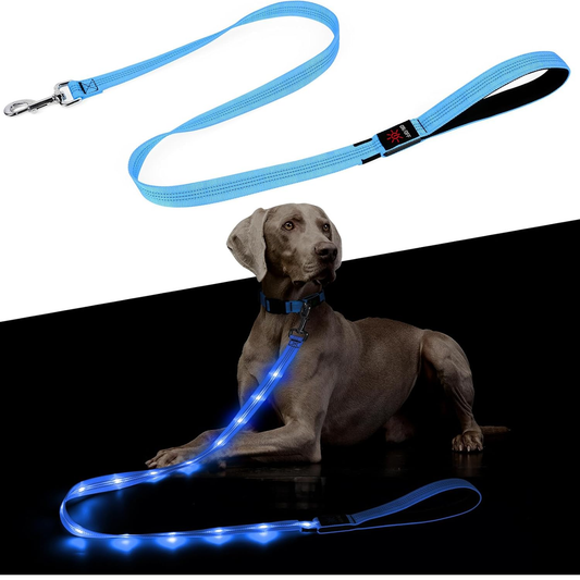 Light up Dog Leash - 5 Ft LED Pet Leash Rechargeable Glow in the Dark Dog Rope Safety Dog Lights for Night Walking 