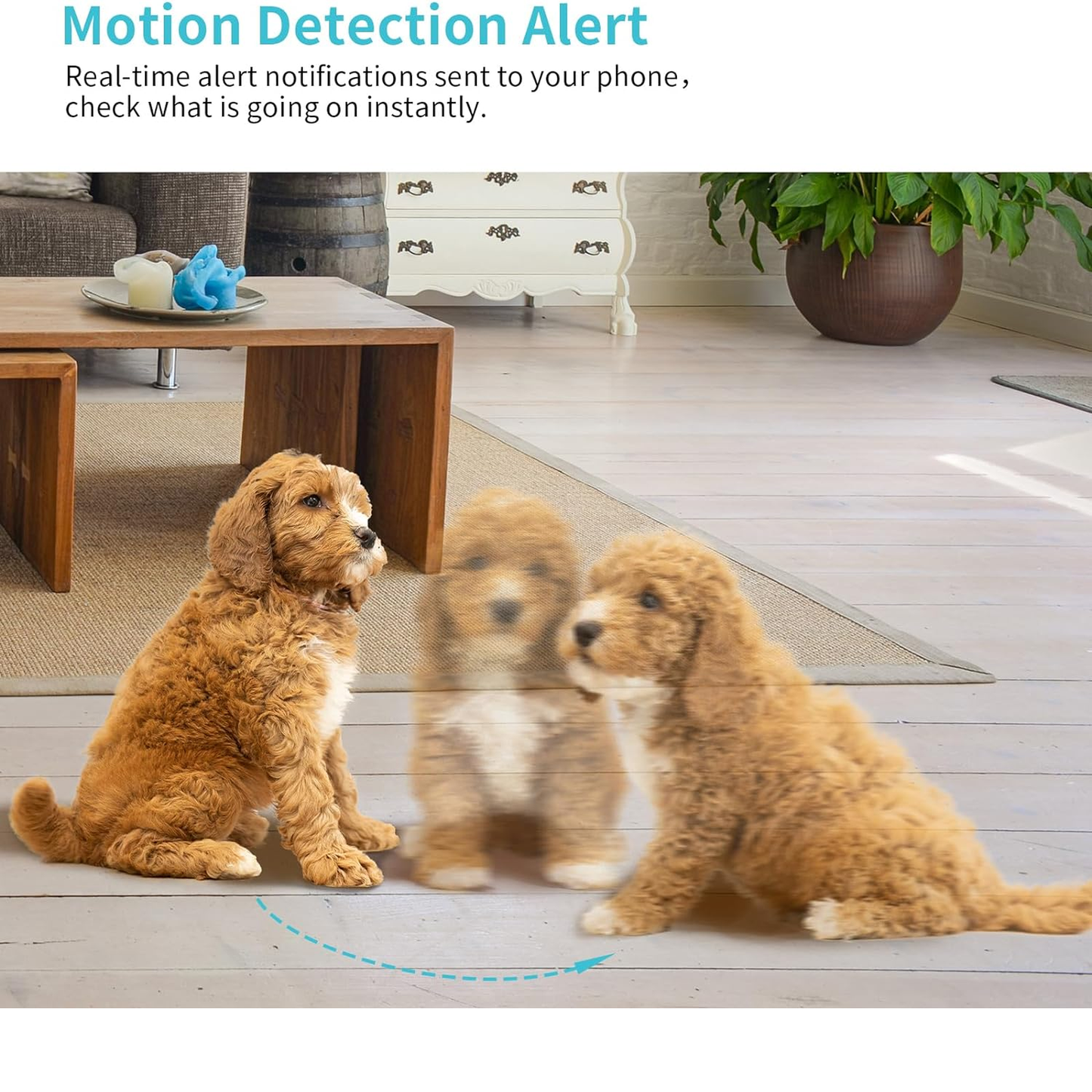 Pet Camera, 2K HD Dog Camera with Phone APP, 360° Pan/Tilt View Puppy Cam, One Click Call for Baby Monitor, Magivpix Night Vision, Motion Tracking Alarm with Cloud/Local SD, Home Indoor Security Cam