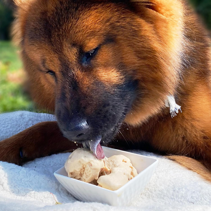 Puppy Scoops Dog Ice Cream Mix - Just Add Water and Freeze, Doggy Ice Cream Mix Packets, Gifts for Dogs, Variety 4 Pack Ice Cream Mix Made in USA