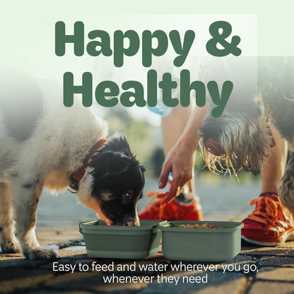 Collapsible Dog Water Bowl 30Oz, 2 in 1 Portable Travel Dog Food Bowl with Lid, Easy Carry Loop Handle, Foldable Dog and Cat Food Bowl, Perfect for Traveling, Walking, Hiking 