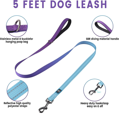 Dog Harness and Leash Set for Mediumn Dogs, No Pull Dog Harness Adjustable Reflective, Dog Halter Harnesses Comfort Padded Handle, Pet Harness for Training Outdoor Walking（Gsky-M