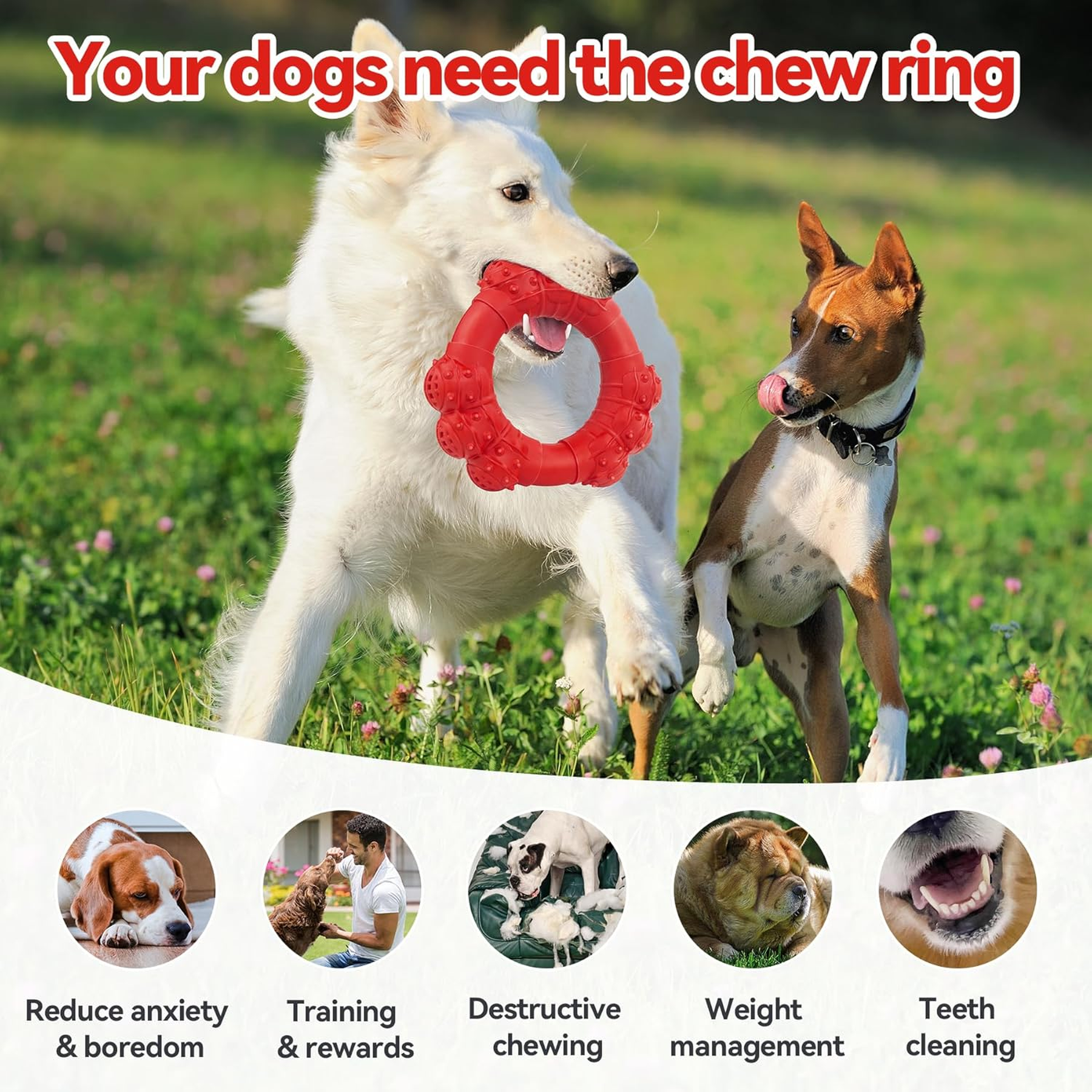 Indestructible Dog Chew Toy for Aggressive Chewers, Super Chewer Toy for Medium Large Dogs