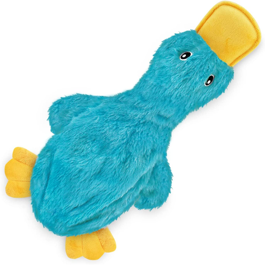 Best Pet Supplies Interactive Squeaky Dog Chew Toy, Ideal Dog Toys for Chewers, Small, Medium & Large Dogs, and Fetch Lovers - Crinkle Duck (Turquoise), Medium