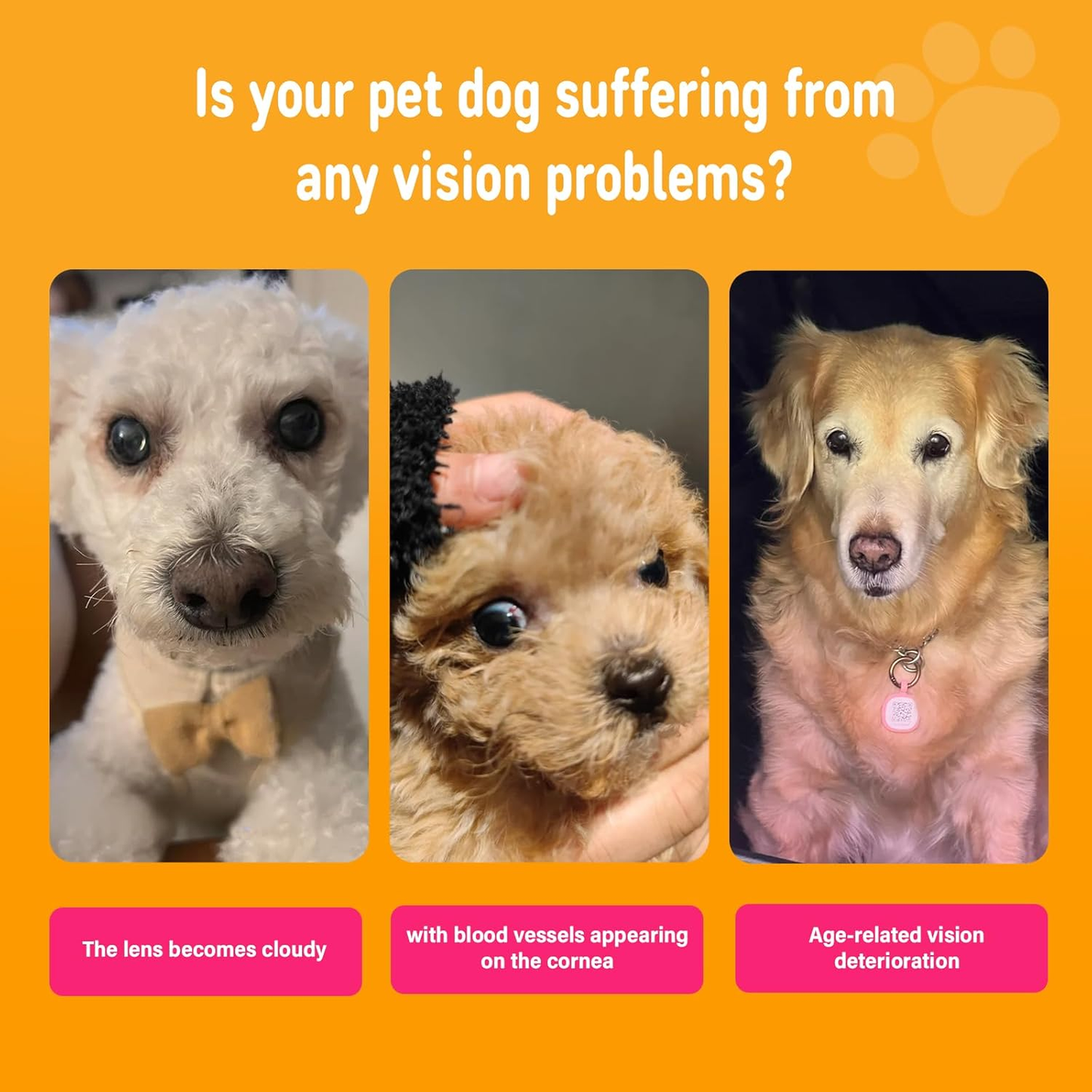 Eye Supplements for Dogs - Vision Support Soft Chews with Lutein, DHA & Vitamin C | 120Ct Salmon Flavor Tear Stain Chews | Cataract & Dry Eye Relief Supplement (120 Ct, Salmon)