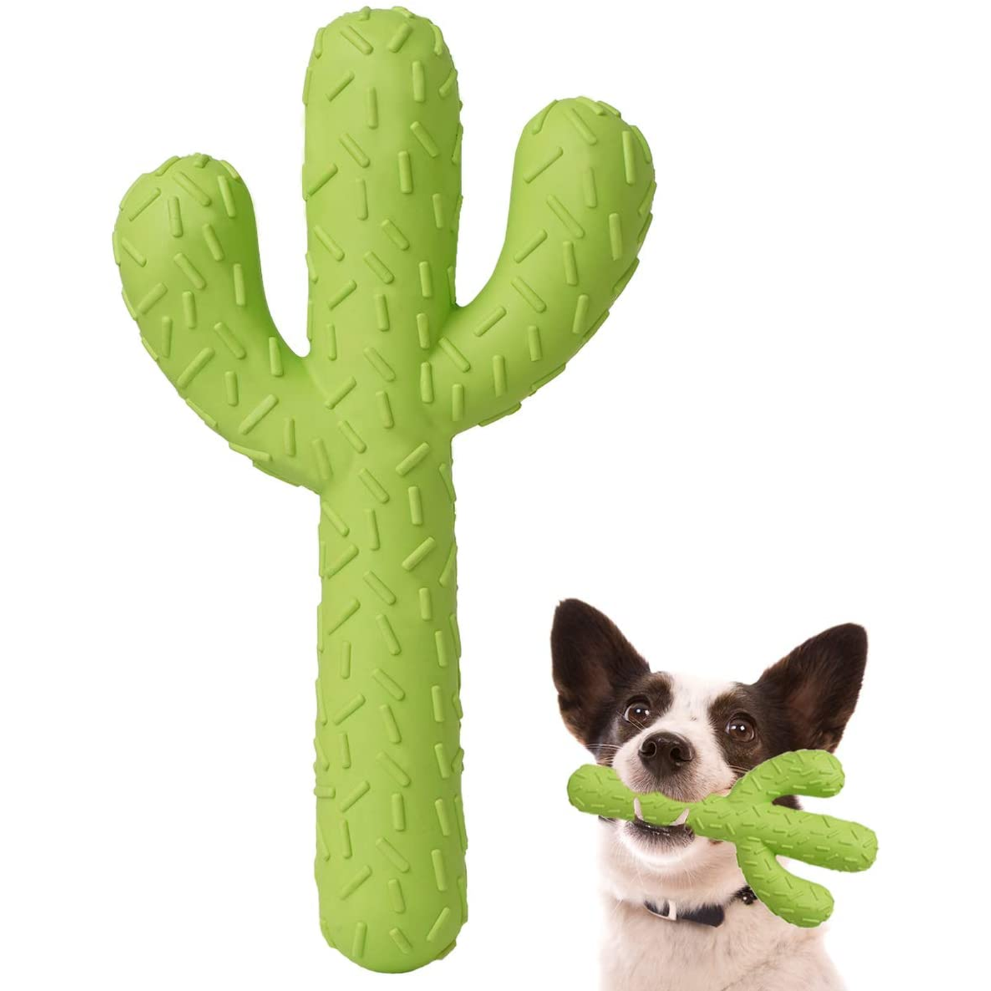 Dog Chew Toy, Durable Rubber Dog Toys for Aggressive Chewers, Cactus Tough Toys for Training and Cleaning Teeth