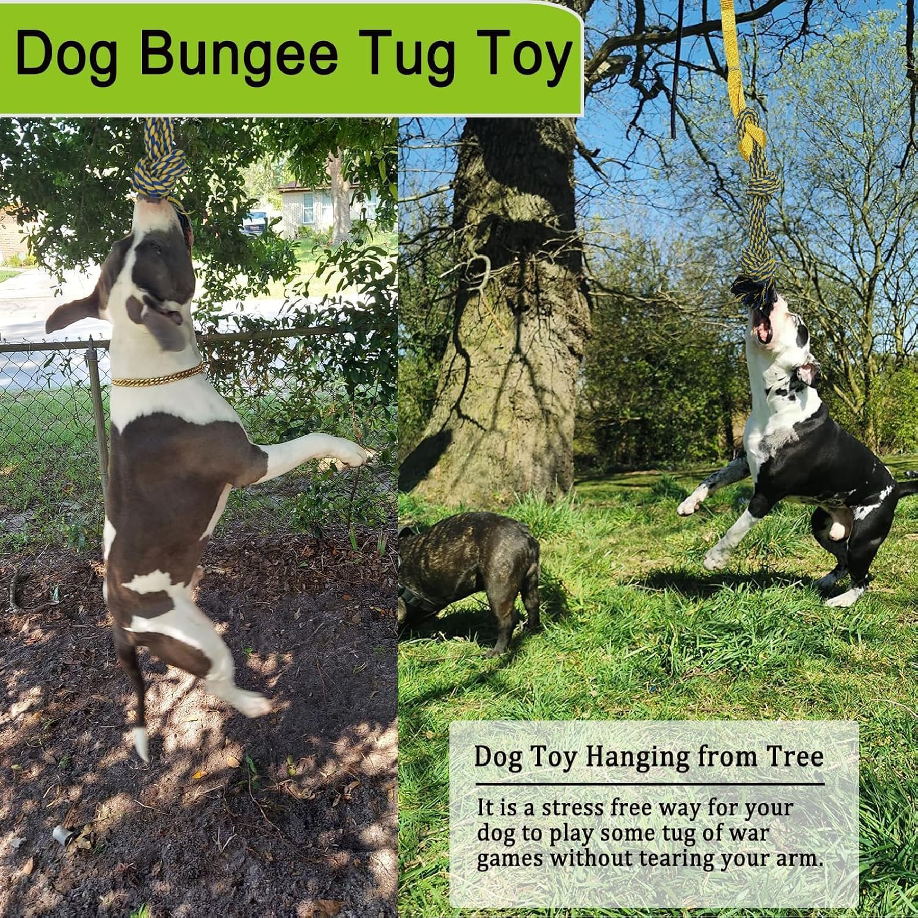 Dog Bungee Tree Tug Toy, Outdoor Tug of War Interactive Tether Dog Rope with Chew Lure for Small Medium Large Dogs 