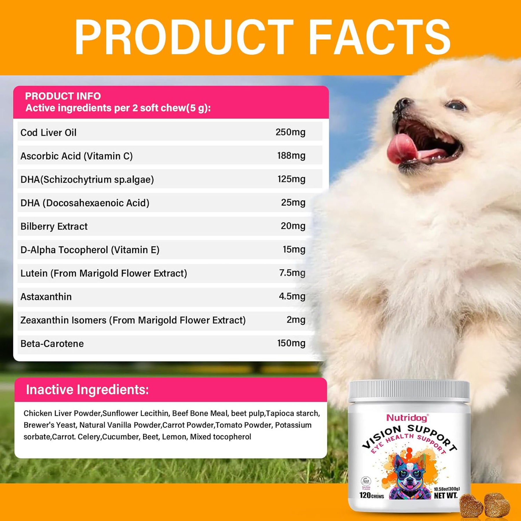 Eye Supplements for Dogs - Vision Support Soft Chews with Lutein, DHA & Vitamin C | 120Ct Salmon Flavor Tear Stain Chews | Cataract & Dry Eye Relief Supplement (120 Ct, Salmon)