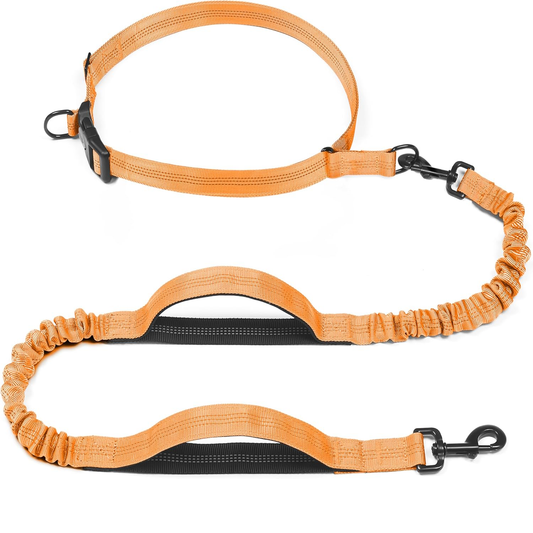 Retractable Hands Free Dog Leash - Dual Handle Bungee Waist Leash for Small, Medium and Large Dogs (Medium/Large, 25-150 Lbs, Orange)
