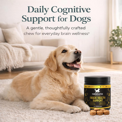 Furever Active Pet Neuro Chewing, Formulated with Carrots, Beets, Apples, Celery, Lemon | Supports Brain & Cognitive Health | Soft Chews for Adult & Senior Dogs, 60 Chews
