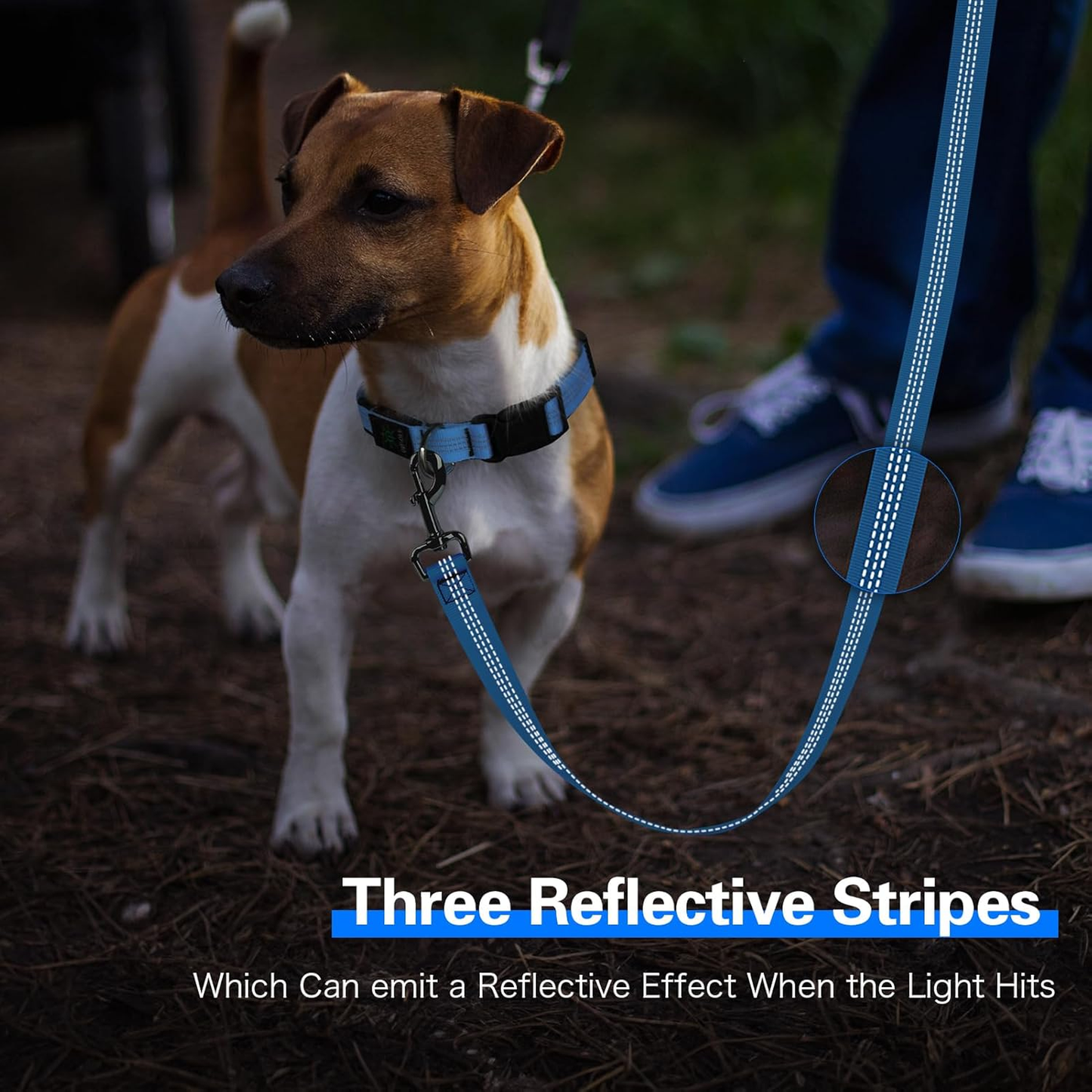 Light up Dog Leash - 5 Ft LED Pet Leash Rechargeable Glow in the Dark Dog Rope Safety Dog Lights for Night Walking 