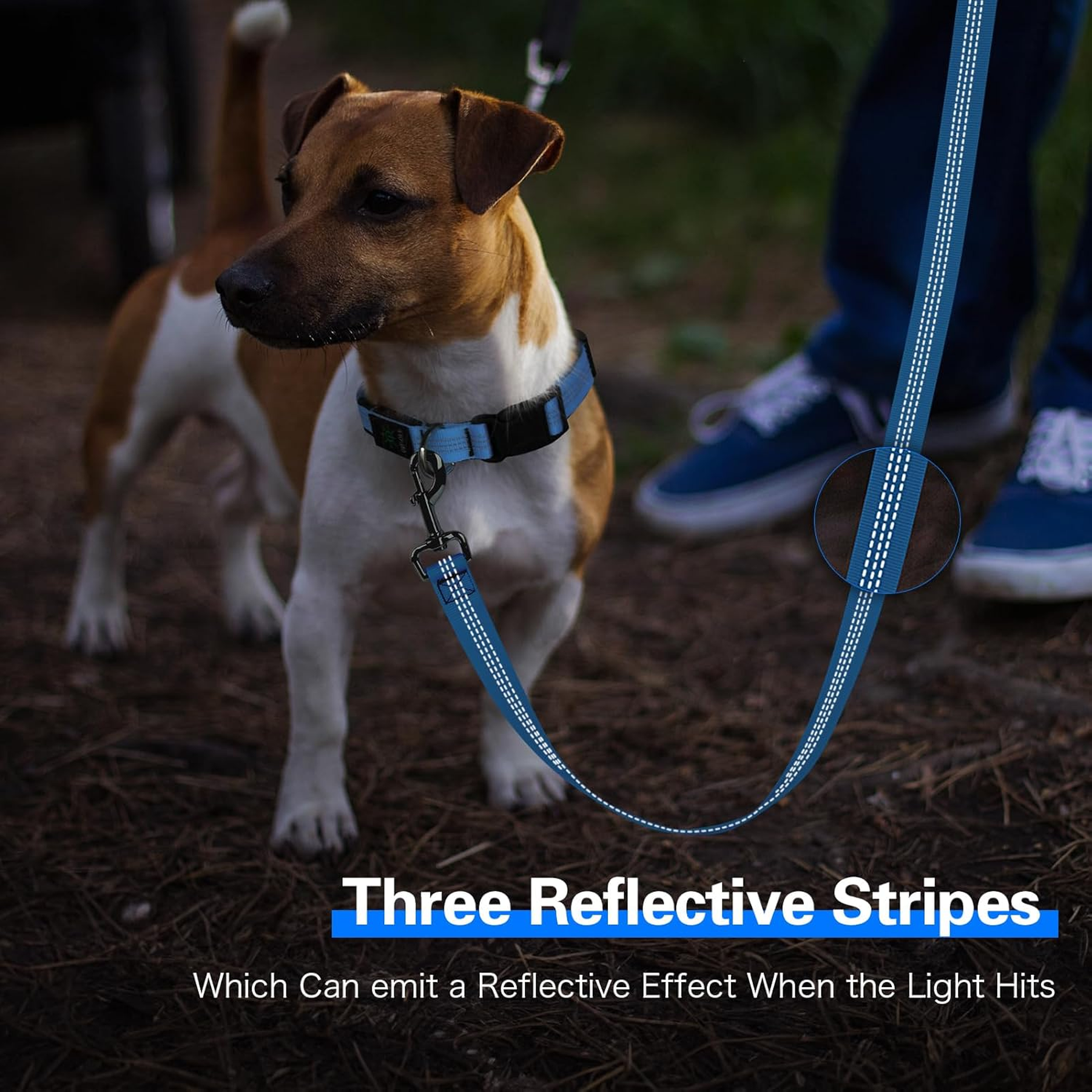 Light up Dog Leash - 5 Ft LED Pet Leash Rechargeable Glow in the Dark Dog Rope Safety Dog Lights for Night Walking 