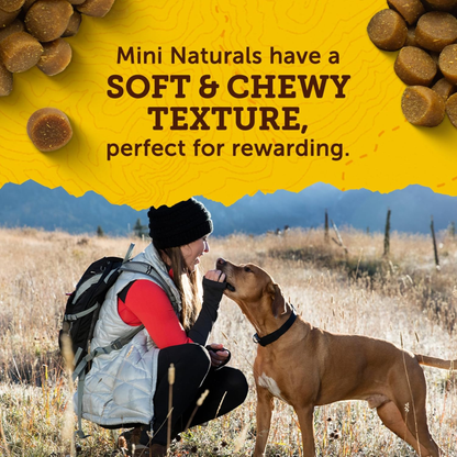 Zuke’S Mini Naturals Dog Training Treats for Dogs, Pet Treats Made with Real Chicken