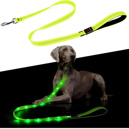 Light up Dog Leash - 5 Ft LED Pet Leash Rechargeable Glow in the Dark Dog Rope Safety Dog Lights for Night Walking 
