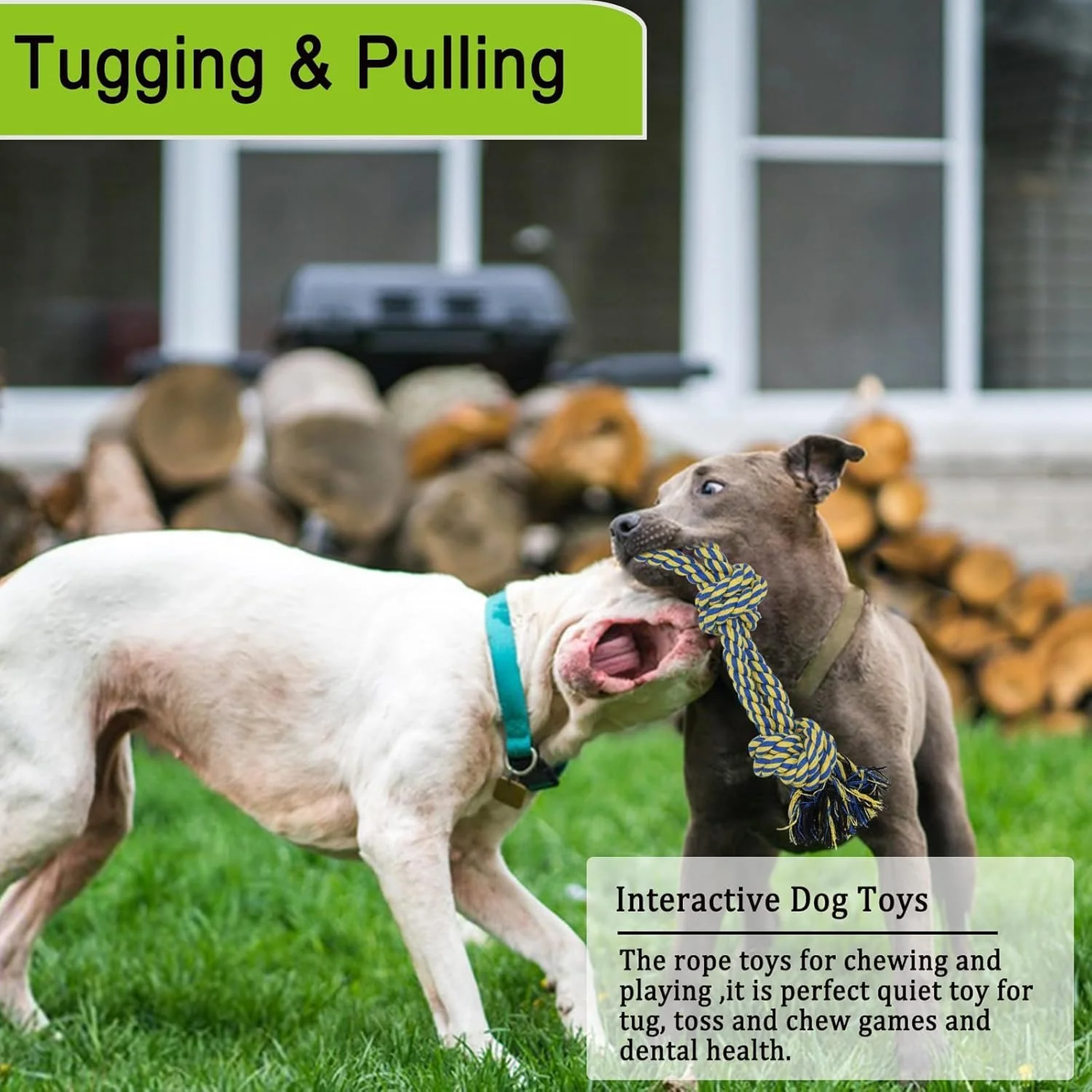 Dog Bungee Tree Tug Toy, Outdoor Tug of War Interactive Tether Dog Rope with Chew Lure for Small Medium Large Dogs 