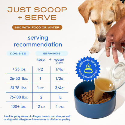 Native Pet Bone Broth for Dogs - Made with Real Beef Bone Broth, Dog Food Toppers for Picky Eaters - Provides Extra Hydration & Nutrition for Joint Strength, Immunity & Heart Health-48 Scoops