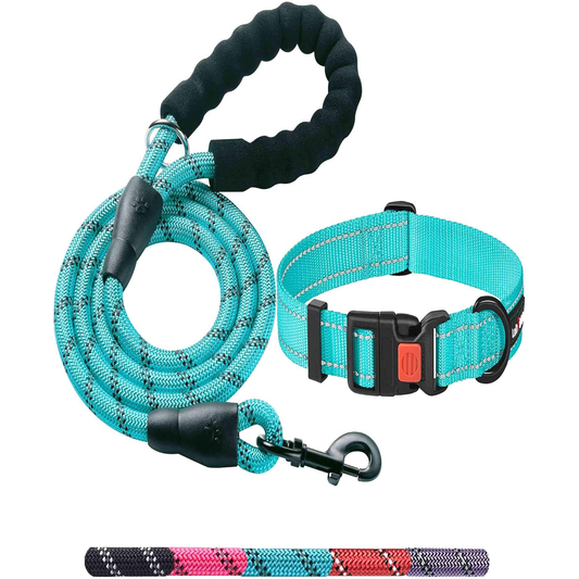 Heavy Duty Dog Leash - Comfortable Padded Handle, 5 Ft Long - Dog Leashes for Small Medium Large Dogs (Leash+Collar M Neck 16"-20", Blue)