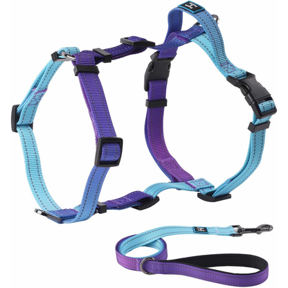 Dog Harness and Leash Set for Mediumn Dogs, No Pull Dog Harness Adjustable Reflective, Dog Halter Harnesses Comfort Padded Handle, Pet Harness for Training Outdoor Walking（Gsky-M