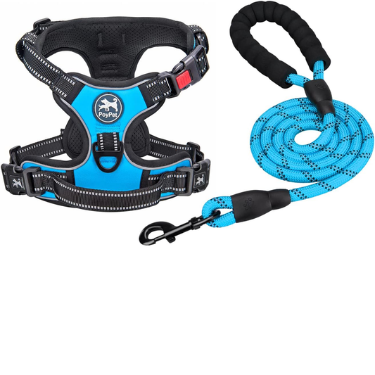 Dog Harness and Leash Combo, Escape Proof No Pull Vest Harness, with 5 Feet Leash, Reflective Adjustable Soft Padded Pet Harness with Handle for Small to Large Dogs(Blue)