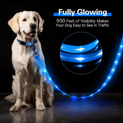 Light up Dog Leash - 5 Ft LED Pet Leash Rechargeable Glow in the Dark Dog Rope Safety Dog Lights for Night Walking 