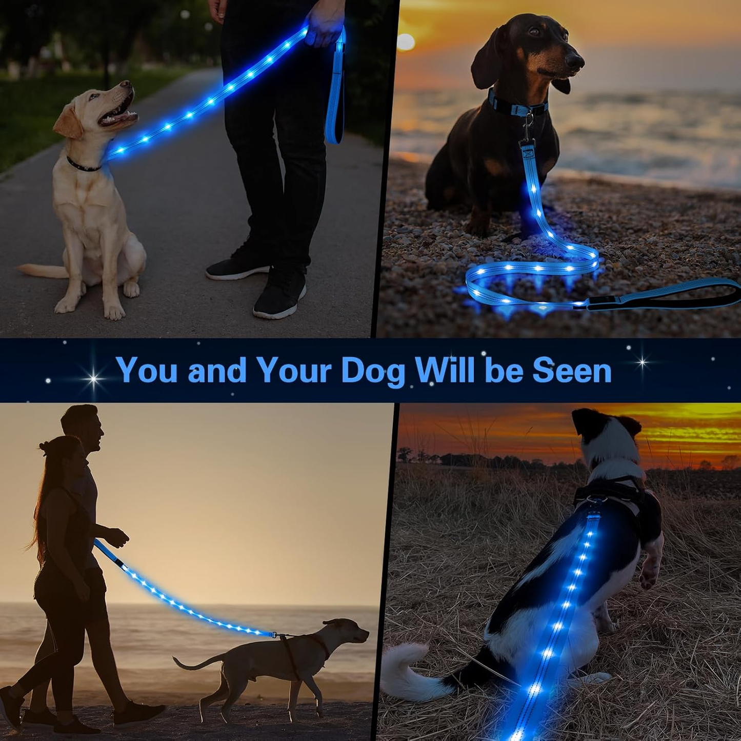 Light up Dog Leash - 5 Ft LED Pet Leash Rechargeable Glow in the Dark Dog Rope Safety Dog Lights for Night Walking 