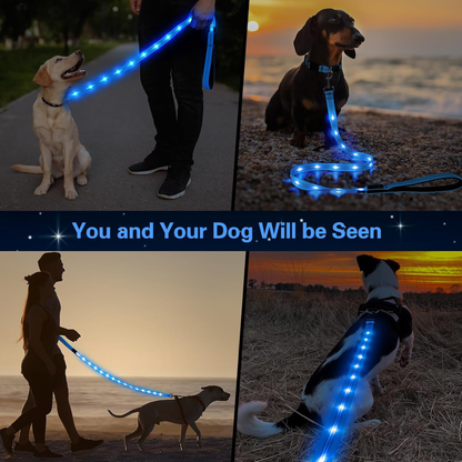 Light up Dog Leash - 5 Ft LED Pet Leash Rechargeable Glow in the Dark Dog Rope Safety Dog Lights for Night Walking 