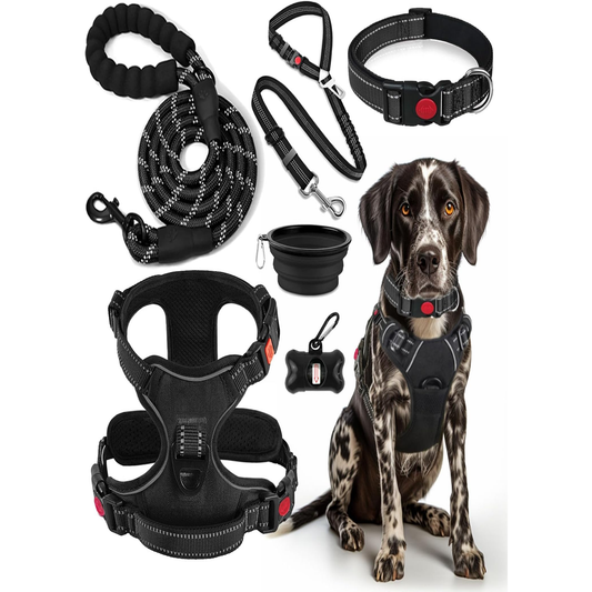 No Pull Dog Harness, Collar & Leash Set | Includes Dog Seat Belt, Collapsible Bowls & Poop Bag Dispenser, Fits Small to Large Dogs(Black-XL)