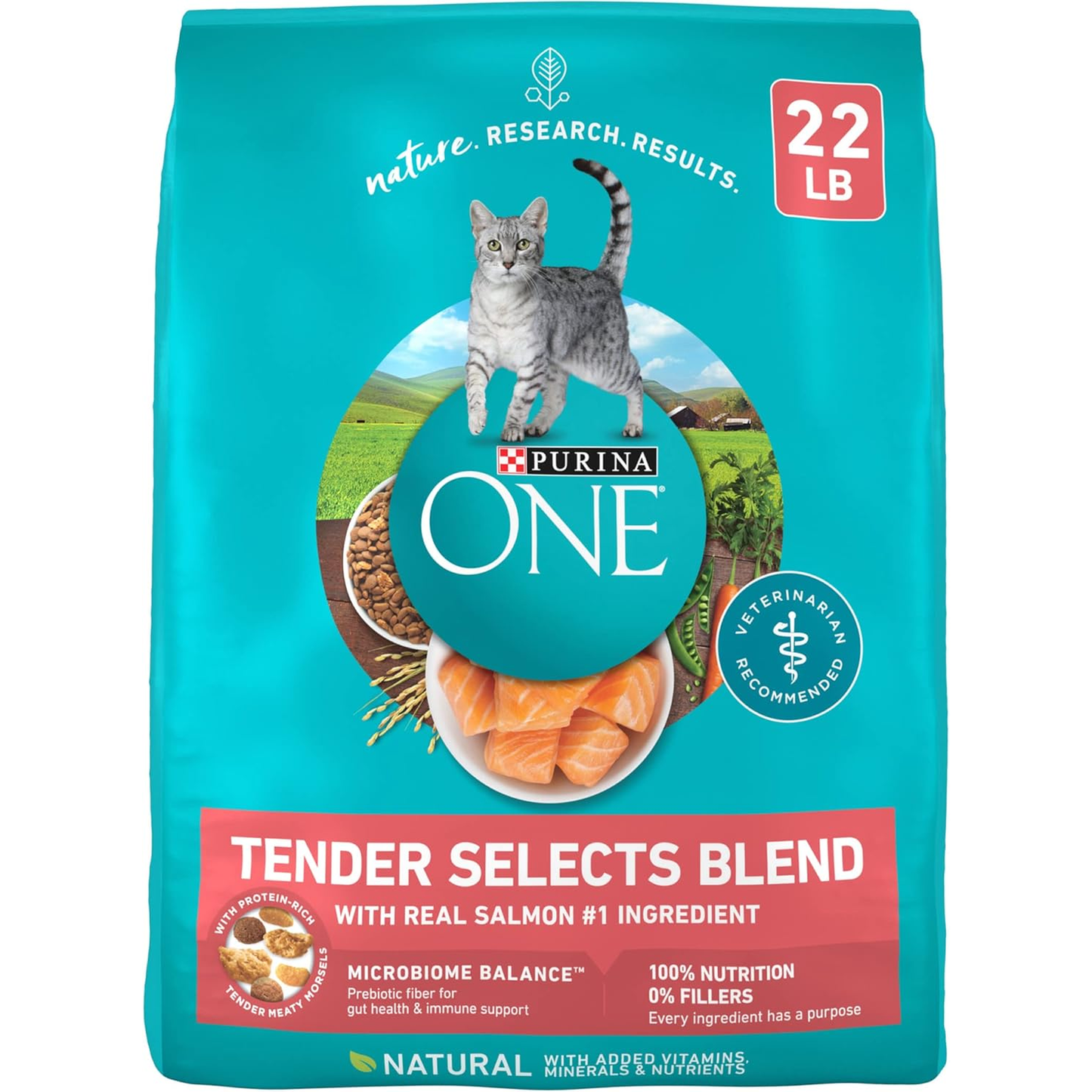 Purina ONE Natural Dry Cat Food, Tender Selects Blend with Real Salmon 