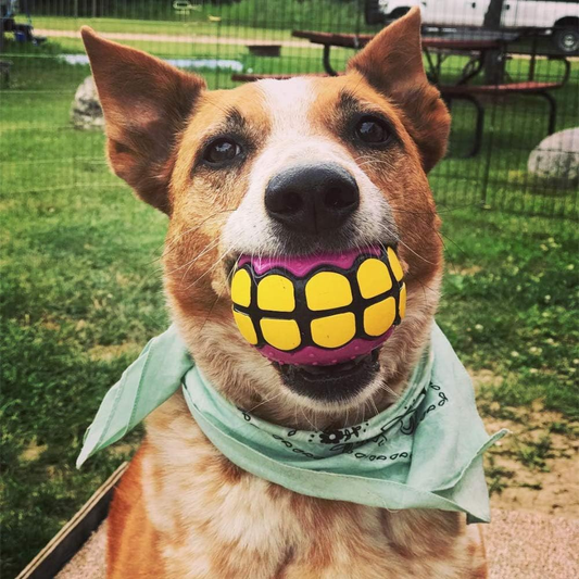 Teeth Dog Ball Toy Squeaky Fetch - Rubber Funny Ball for Large Medium Dogs