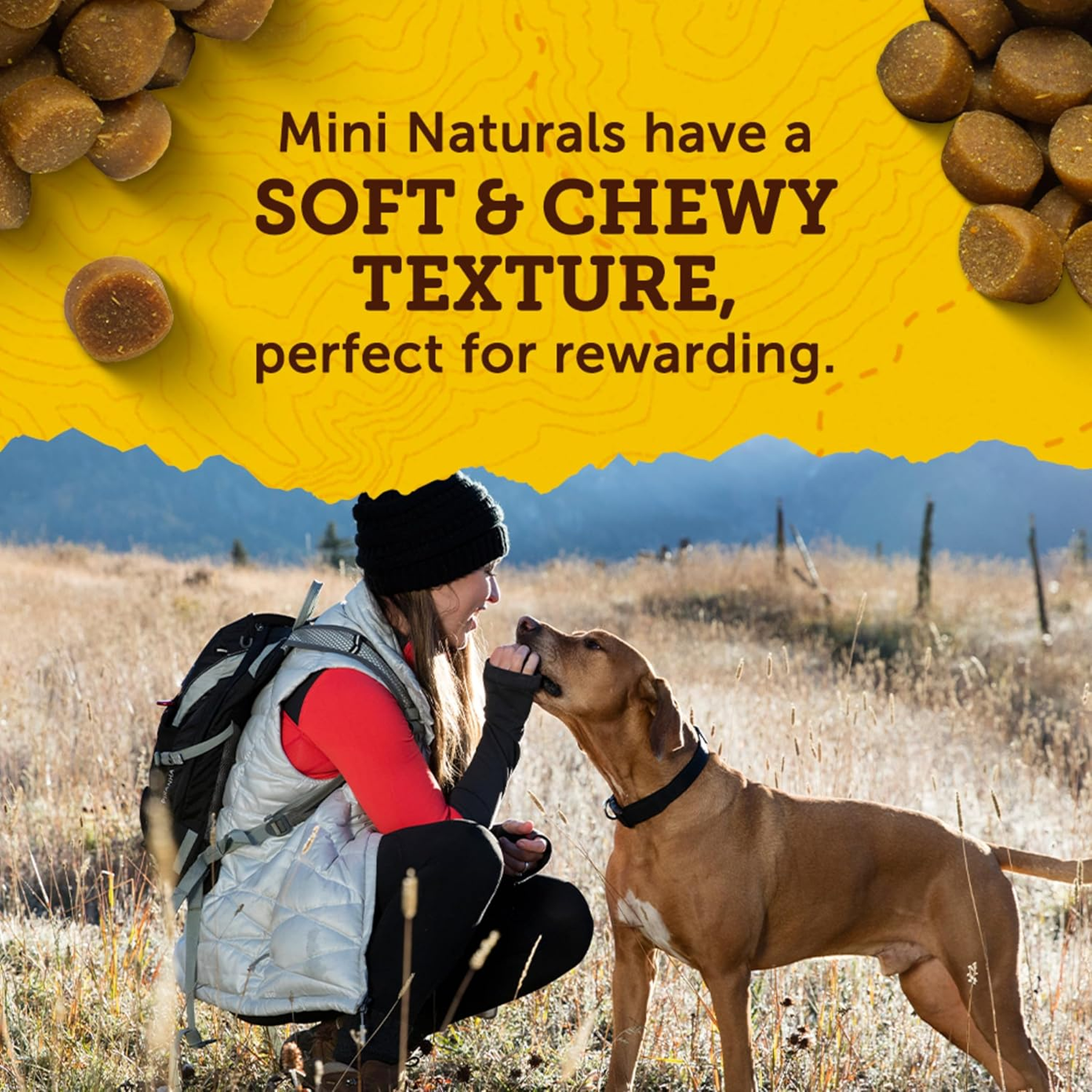 Zuke`S Mini Naturals Dog Treat Peanut Butter 1lb