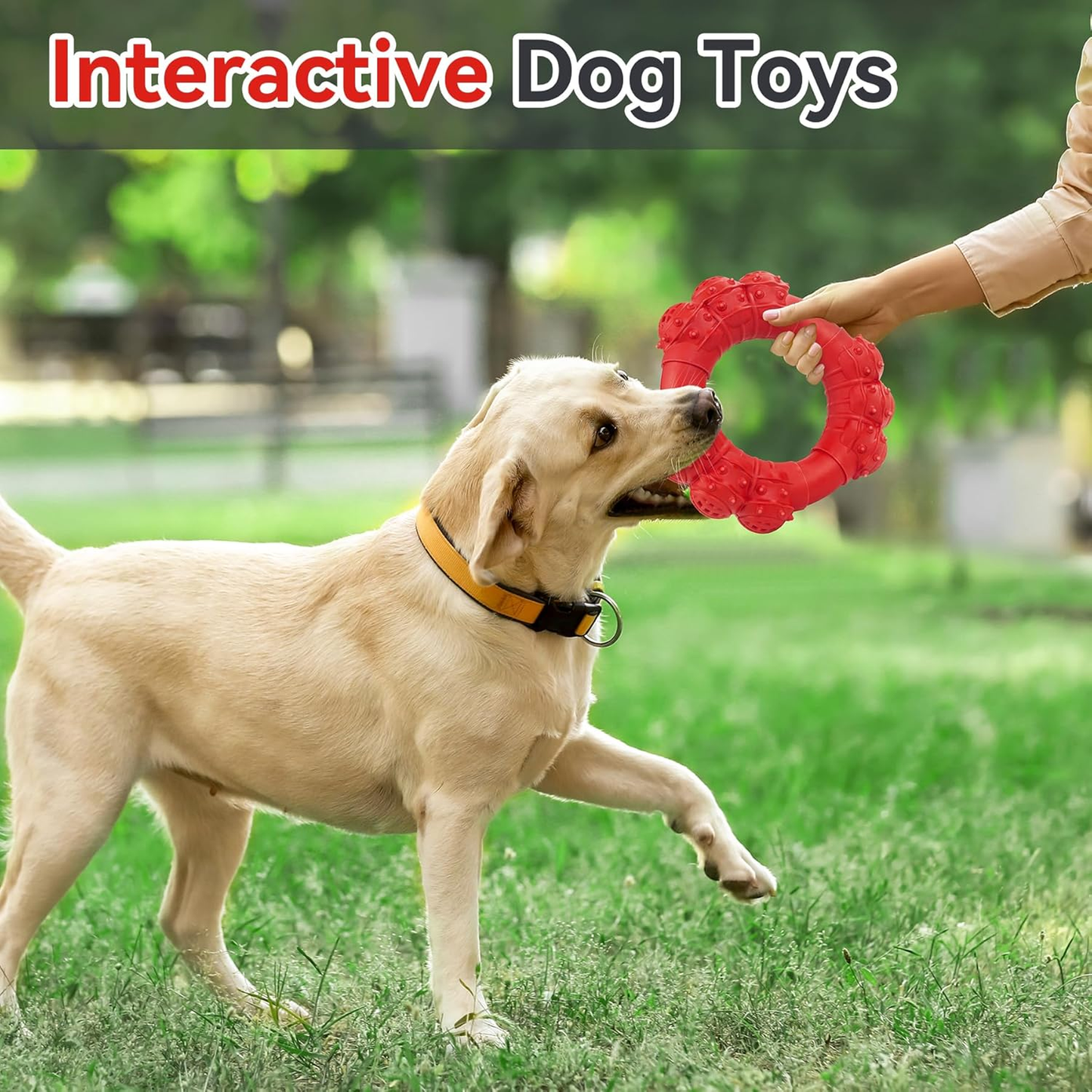 Indestructible Dog Chew Toy for Aggressive Chewers, Super Chewer Toy for Medium Large Dogs