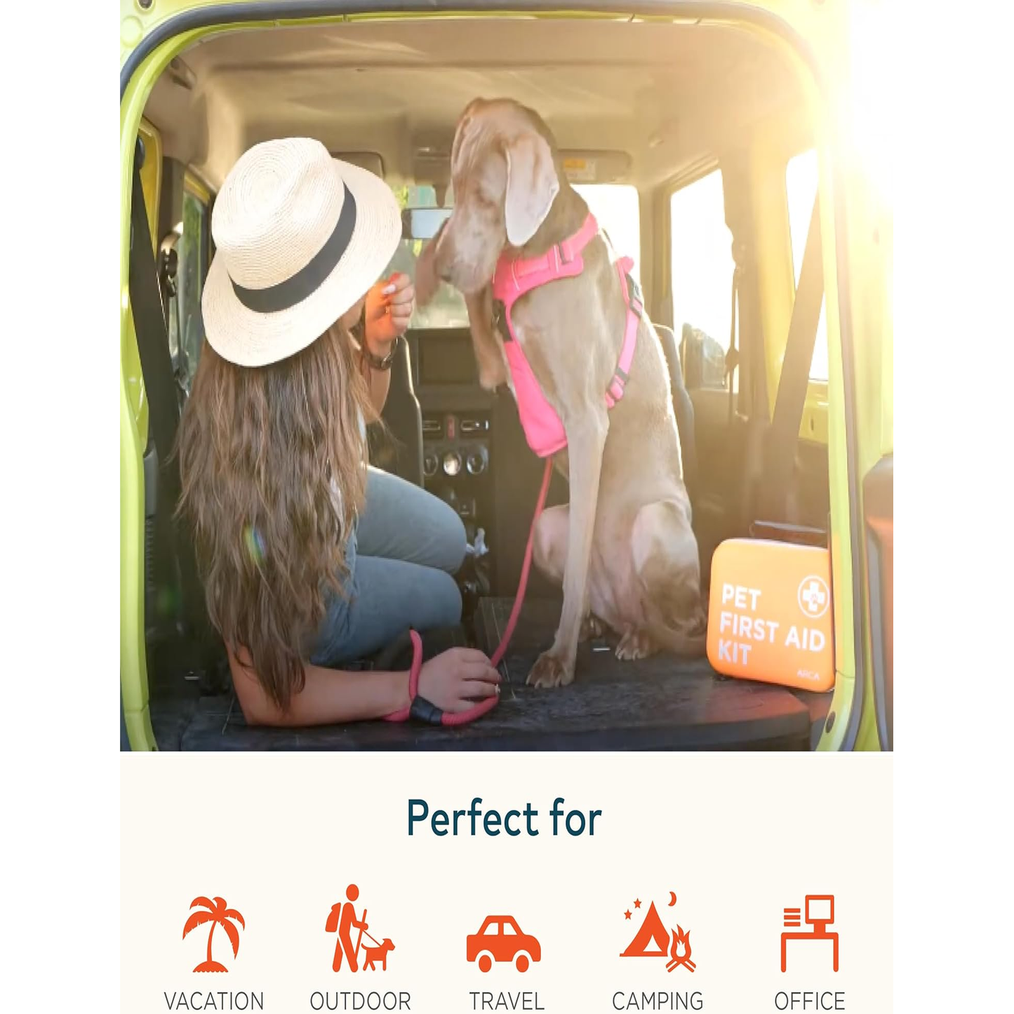 Cat & Dog First Aid Kit for Car - Pet Emergency Kit for Home Office Travel – Dog Camping Essentials with Digital Thermometer, Muzzle & Mini First Aid Pouch