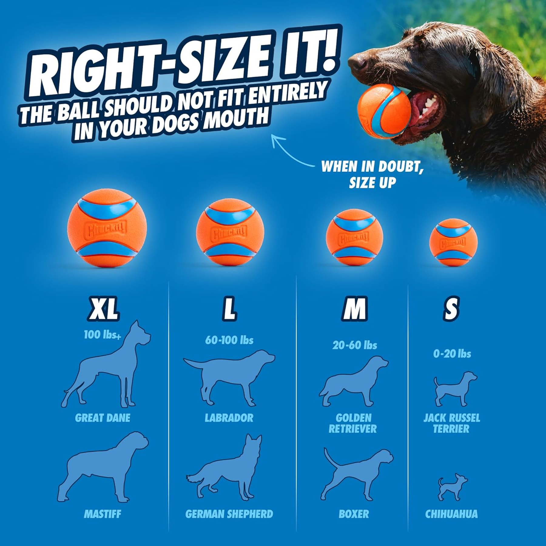 Chuckit! Dog Balls - Interactive Dog Toys, High-Bounce Fetch Ball, Ultra and Rugged Balls, Durable - Size Medium, 2.5-Inch Diameter, Set of 3