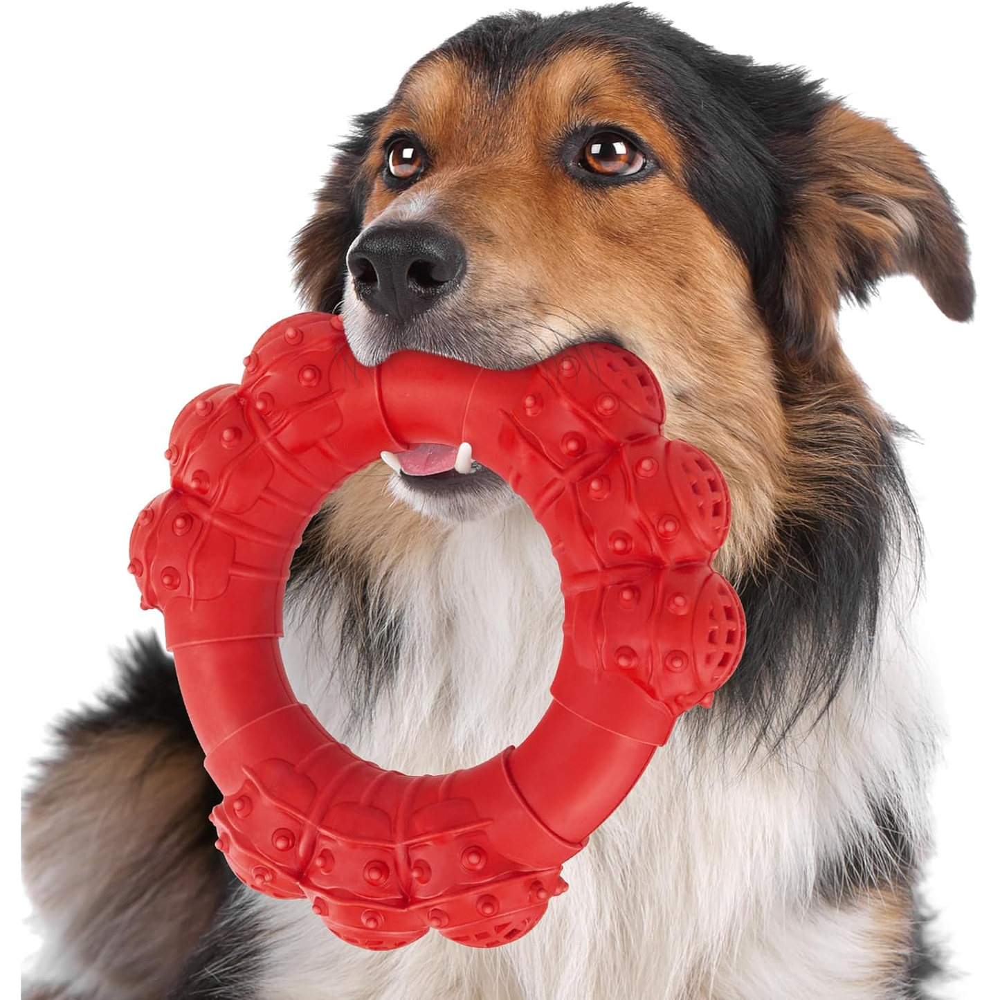 Indestructible Dog Chew Toy for Aggressive Chewers, Super Chewer Toy for Medium Large Dogs