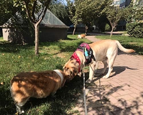 Dog Poop Bag Holder Dispenser with LED Flashlight - Night Visibility for Safe Evening Walks | Upgraded Hands-Free Leash Clip | Includes 15 Dog Waste Bags