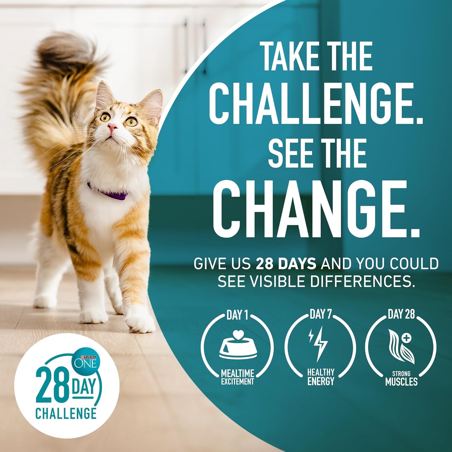 Purina ONE Natural Dry Cat Food, Tender Selects Blend with Real Salmon 