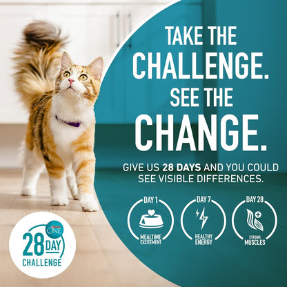 Purina ONE Natural Dry Cat Food, Tender Selects Blend with Real Salmon 