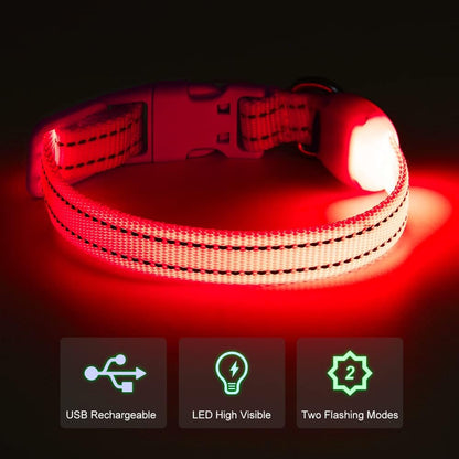 Light up Dog Collar for Small Dogs, LED Dog Collar Rechargeable Safety Dog Lights, Fully Adjustable Glow in the Dark Collars(X-Small)
