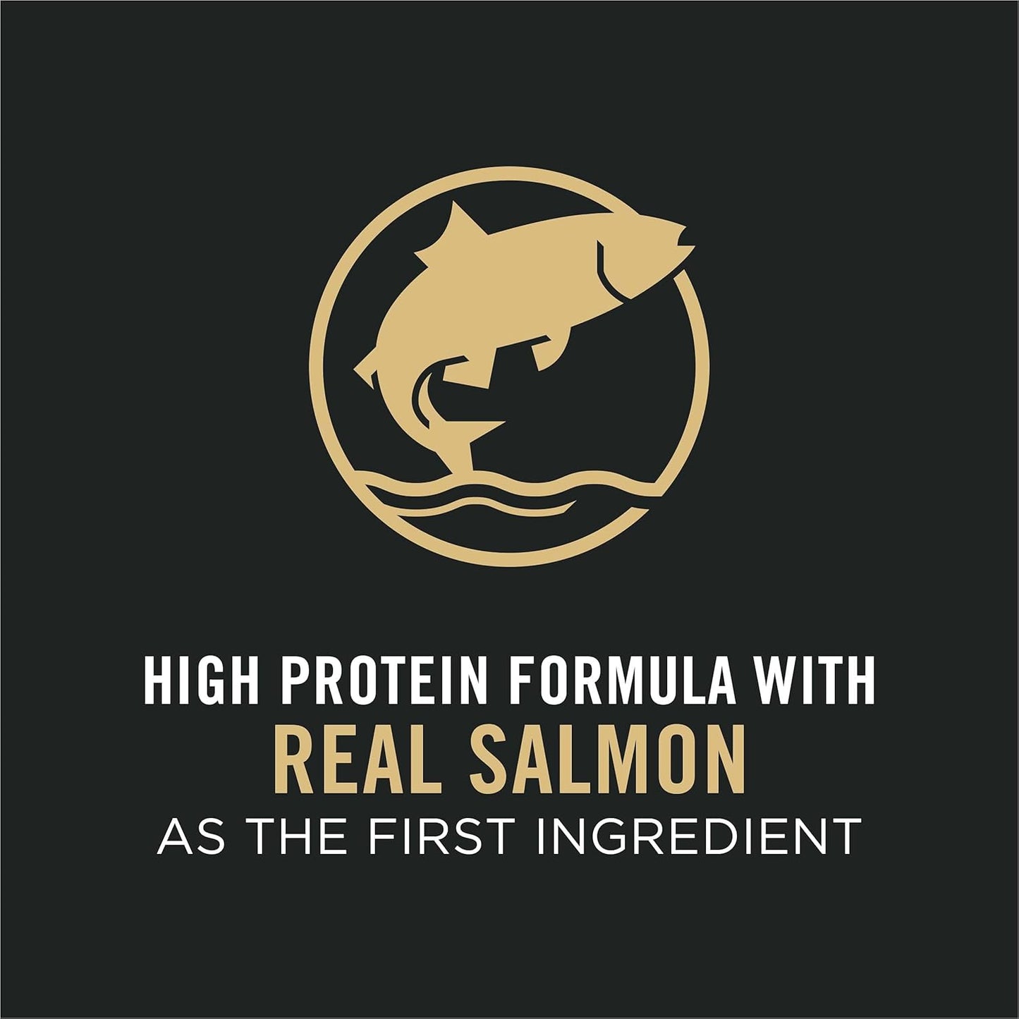 High Protein Dog Food with Probiotics for Dogs, Shredded Blend Salmon & Rice Formula - 17 Lb. Bag