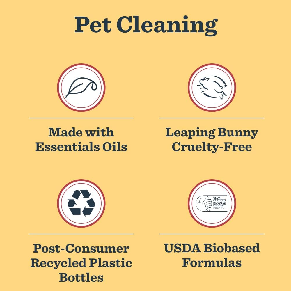CLEAN DAY Pet Stain & Odor Fighter, Orange Blossom Scent, 16Oz